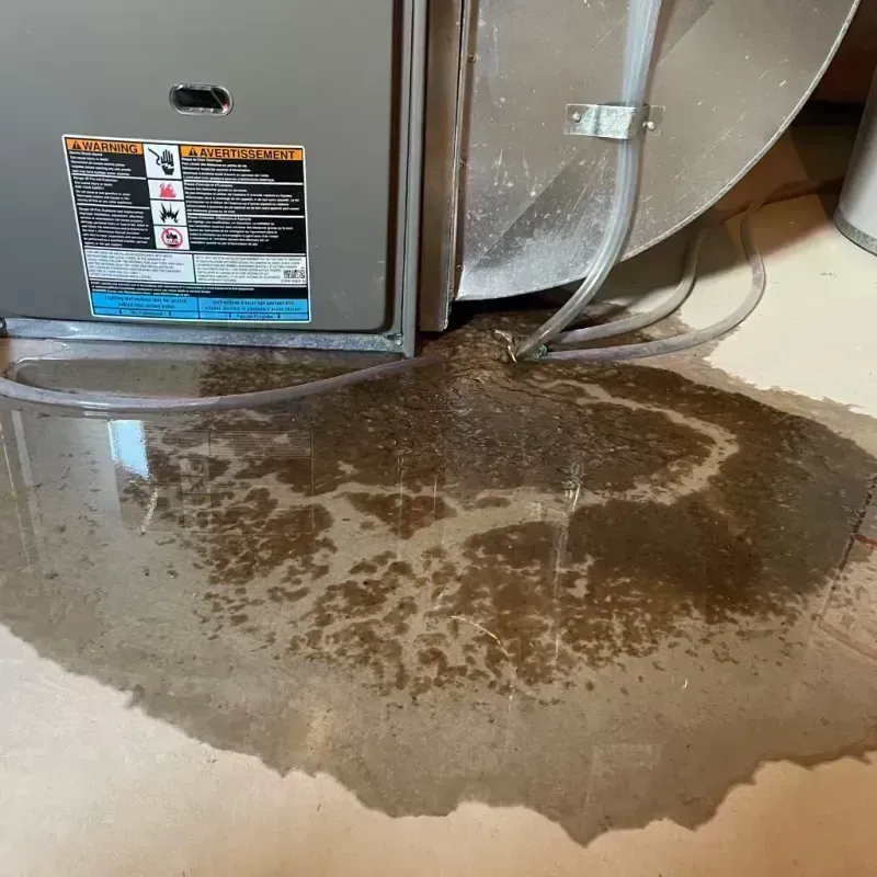 Appliance Leak Cleanup in Callaway County, MO